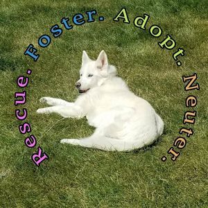 Meet your Posher, May